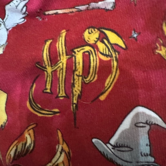 Bums & Roses Harry Potter Themed Jogger Set - Picture 4 of 5